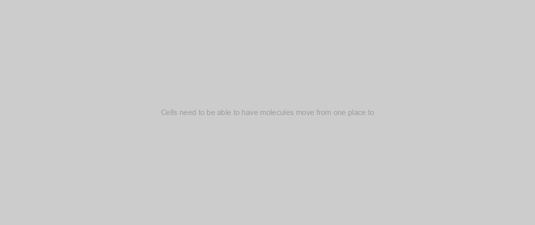 Cells need to be able to have molecules move from one place to